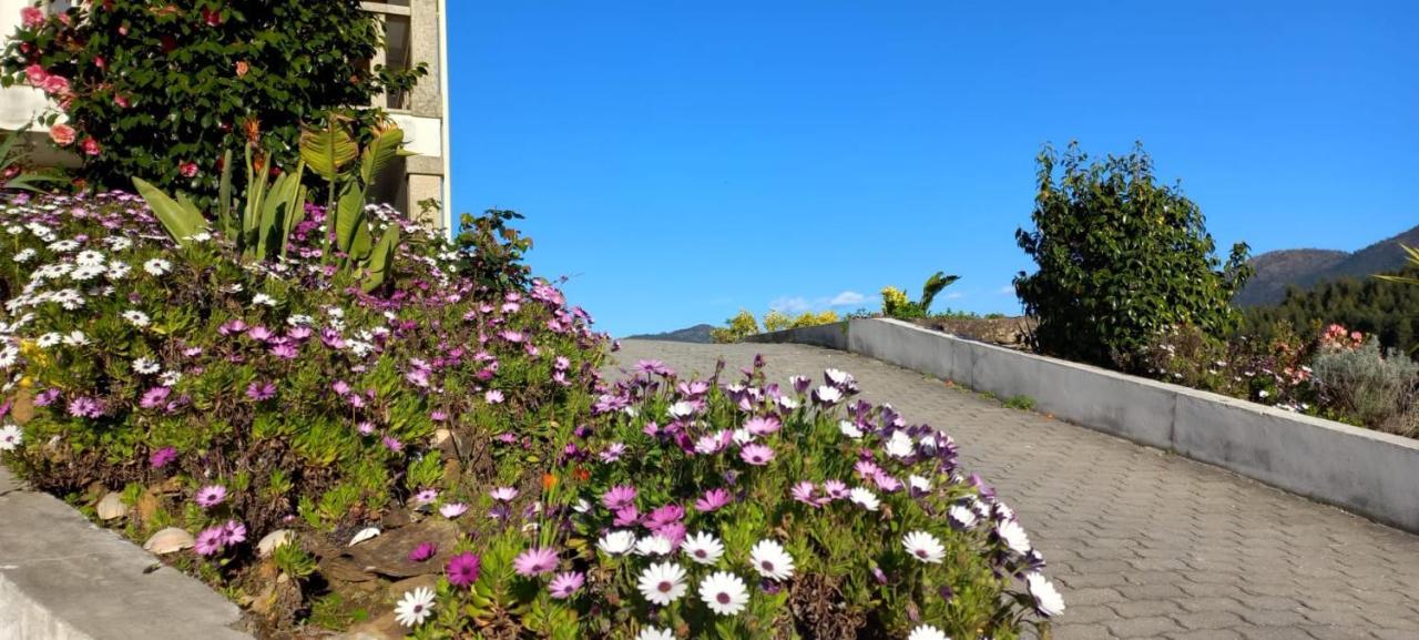 Appartamento Cerdeirinhas De Basto "Piso Q 4" Canedo de Basto Esterno foto